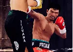Undisputed - The Senator Pack DLC Xbox Ключ/Код - irongamers.ru