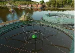 КЛЮЧ Farming Simulator 25: Highlands Fishing Edition XBOX Код