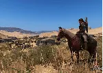 КЛЮЧ Mount & Blade II Bannerlord XBOX PC Код - irongamers.ru