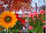 КЛЮЧ Bee Simulator The Hive XBOX Код