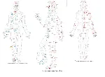 Быстрое составление вибрационных рядов. Программа.