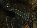 PREY (2006) Steam Key Region Free / ROW / GLOBAL - irongamers.ru