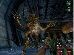 Aliens versus Predator Classic 2000 STEAM РФ+МИР - irongamers.ru