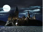 LEGO Harry Potter Years 1-4 (Steam key) -- RU