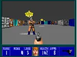 Wolfenstein 3D + Spear of Destiny (STEAM КЛЮЧ) РФ+МИР - irongamers.ru