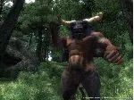 The Elder Scrolls IV: Oblivion Game of the Year (GOTY) Edition Deluxe - irongamers.ru