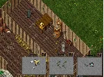 Ultima online - Olmer online "Kinston citizen pack" - irongamers.ru