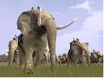 Rome: Total War Collection /2 in 1 (Steam Gift RegFree) - irongamers.ru