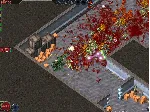 Alien Shooter АВТОДОСТАВКА STEAM GLOBAL МГНОВЕННО ЛИЦЕНЗИЯ