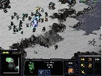 StarCraft: Anthology (Starcraft + Brood War) - irongamers.ru
