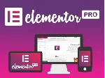 Лицензия Elementor Pro со всеми обновлениями на 1 год