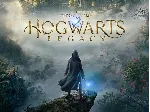 hogwarts legacy Deluxe PS 4 / PS5 общий - irongamers.ru