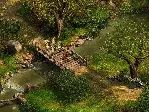 Robin Hood КЛЮЧ STEAM РФ+СНГ - irongamers.ru
