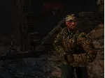 Return to Castle Wolfenstein | АВТОДОСТАВКА RU Gift - irongamers.ru