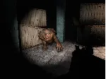 ☢ ️S.T.A.L.K.E.R.: Тень Чернобыля {Steam/Россия/СНГ}