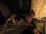 ☢ ️S.T.A.L.K.E.R.: Тень Чернобыля {Steam/Россия/СНГ}