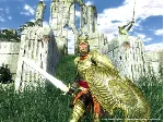 TES IV: Oblivion Game of the Year Deluxe |АВТО Steam - irongamers.ru