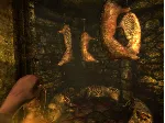 ⭐ Amnesia Collection EU Steam КЛЮЧ ЕВРОПА - irongamers.ru