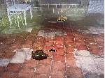 Качественный приватный чит Arcane ESP для PUBG | ПАБГ - irongamers.ru