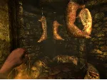 Amnesia: The Dark Descent (Steam Key/Region Free) - irongamers.ru