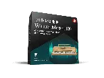 🔑 IK Multimedia Wurly Model 120