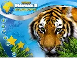 Wildlife Creative Studio 💎 STEAM KEY REGION FREE GLOBAL