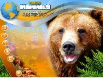 Wildlife Creative Studio 💎 STEAM KEY REGION FREE GLOBAL