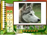 Wildlife Creative Studio 💎 STEAM KEY REGION FREE GLOBAL