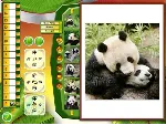Wildlife Creative Studio 💎 STEAM KEY REGION FREE GLOBAL