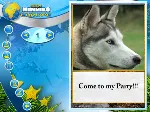 Wildlife Creative Studio 💎 STEAM KEY REGION FREE GLOBAL