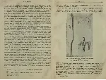 История Сибири. 1 том. Миллер Герард Фридрих - irongamers.ru