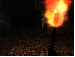 Survival Postapocalypse Now (RU/CIS activation; Steam)