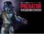 Predator Hunting Grounds Wolf Predator Pack Steam - irongamers.ru