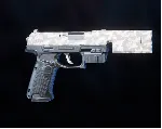 Rogue Company - Nuclear Secondary Wrap Gun Skin - irongamers.ru