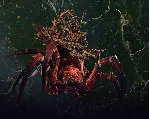 Total War: Warhammer II Catchweb Spidershrine KEY - irongamers.ru
