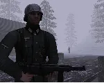 Wolf Pack / Wolfenstein (Steam Gift Россия) - irongamers.ru