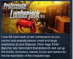 Professional Lumberjack 2015 💎 STEAM KEY GLOBAL+РОССИЯ
