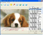 SlideShow Maker
