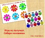 ПОЛОВИНКИ ЦВЕТОЧЕК /электронная версия
