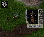 Ultima online - Olmer online "Race pack"