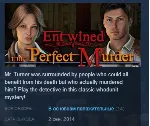 Entwined: The Perfect Murder 💎 STEAM KEY REGION FREE