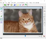 Руководство: морфинг в программе Sqirlz Morph