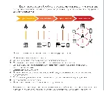 Учебная практика 2 семестр - (ПРИКЛАДНАЯ ИНФОРМАТИКА)