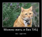 База сайтов для поднятия тИЦ и продвижения