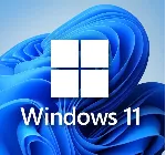 Windows 11 Professional OEM Key