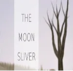 The Moon Sliver (Steam key / Region Free)