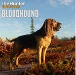 theHunter: Call of the Wild - Bloodhound Steam Global - irongamers.ru