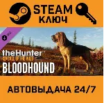 TheHunter: Call of the Wild - Bloodhound. STEAM-ключ - irongamers.ru