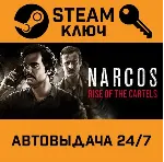 🔑 Narcos: Rise of the Cartels. STEAM-ключ (Global)