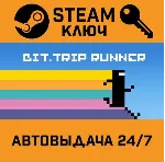 🔑 BIT.TRIP RUNNER. STEAM-ключ (Global)